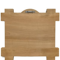 Back View