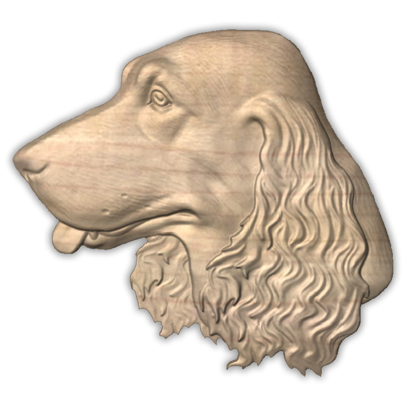 Field Spaniel Keepsake Box