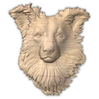 Wall Art Plaques Dogs Bordie Collie Wall..